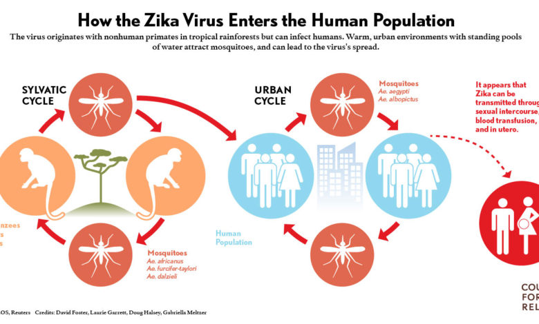 Zika Virus 1