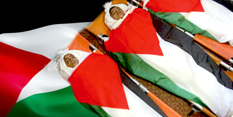 Palestine Dhidhaige dhulun featured image