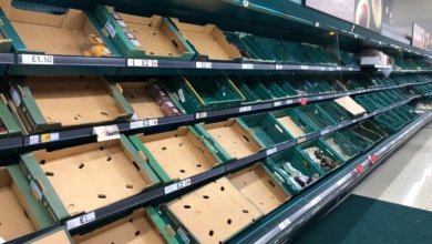 0 WhatsApp Image 2021 07 20 at 142016 5jpeg