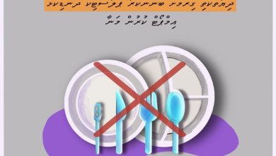 12deedb5 4406 4b7d 9228 2b759957034f