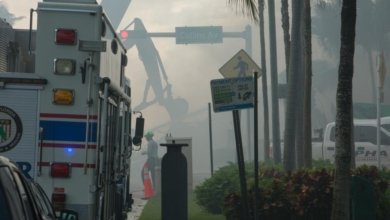 1310030386 16247789357561n