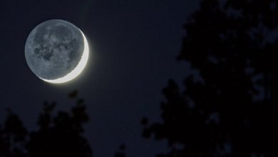 15451071237 1efd7352e5 z