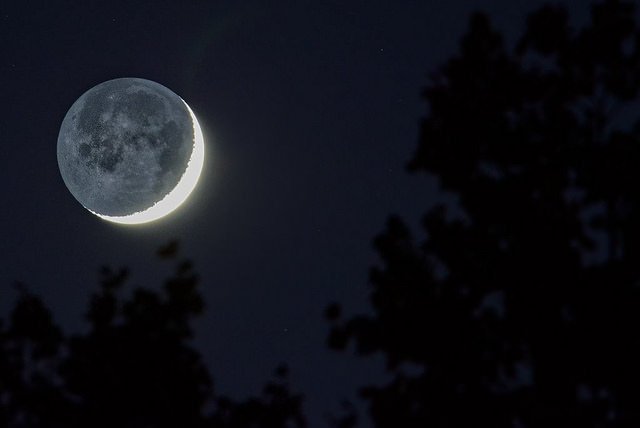 15451071237 1efd7352e5 z