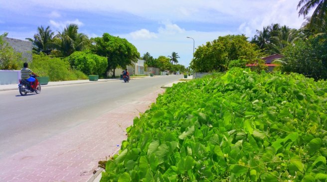 Addu City Hithadhoo