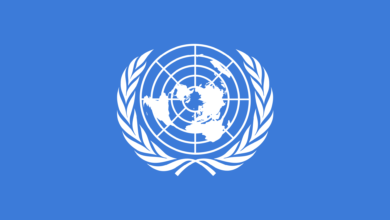 United nations flag