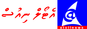 Untitled 1