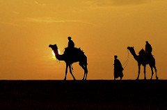 3168966041 5364347c98 m