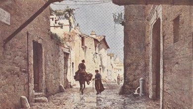 444801341 2b58466eb0