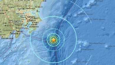 b813ef2a1e5c241e9b07c9b4deb97e51