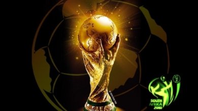 fifaworldcup2010 1024x768 381565