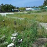 Dhiddhoo Garusthaan 2