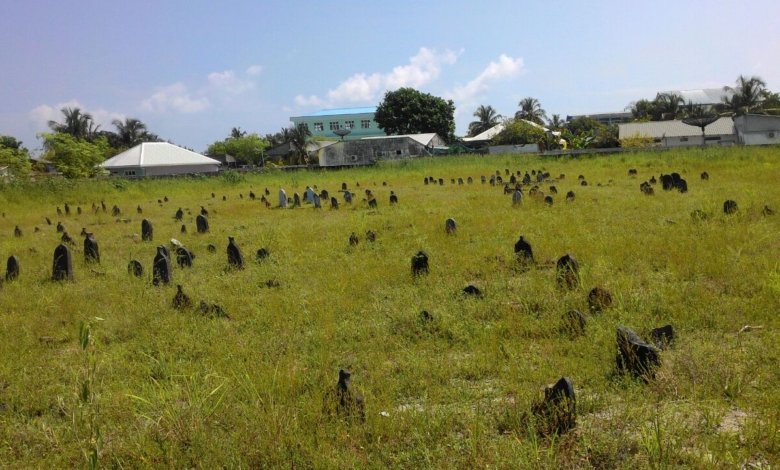 Dhiddhoo Garusthaan 5