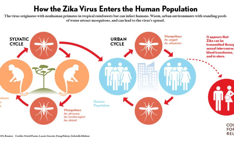 Zika Virus 1