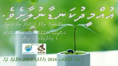 image 0 02 06 79bb702dd6b7d61d8e9ca9afcba895e3b515154d7d426b32e9f6b09d37a97a34 V