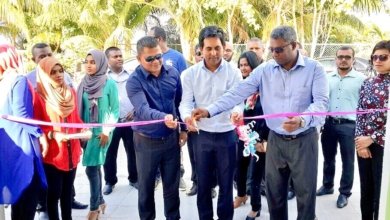 Economic Ministry Gofi 25.12.2016