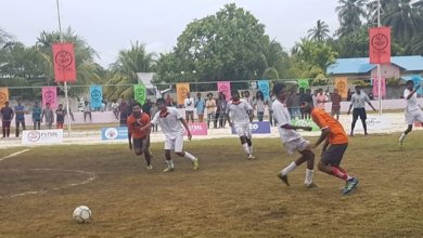 16300538 1242471749163000 4720114186121402436 o