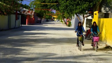 laamu7