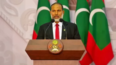 309203 1c78def3 2 768x512 1