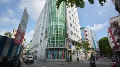 large 14614920255xkDC