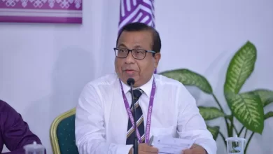 large 158084723247gaJp