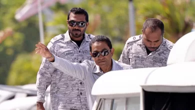 original 1688284321212