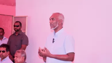 20230712035206 IMG 8988