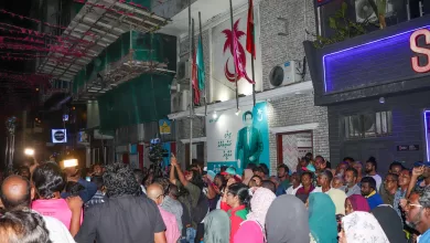 %customfield(tie_post_latin_title %count(title)% IMG 3908