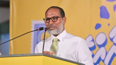 %customfield(tie_post_latin_title %count(title)% ef341c7b b162 4c4c 98a5 418a56241666