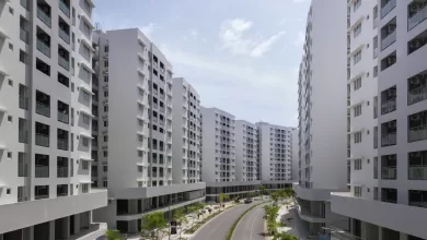 IMG 37b2155cfec970f334a61447ca9f2b31 V