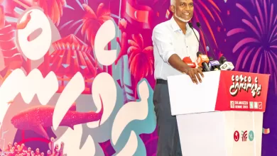 %customfield(tie_post_latin_title %count(title)% IMG 4436