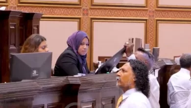 img md 202310290103331698566613.1084