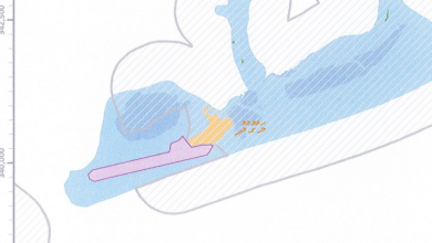 large 169813170757QvPZ