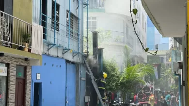 photo 6152039120055154464 y 1024x768 1