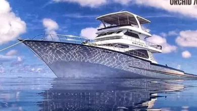 370221149 1123934709012025 4846539435162766251 n qf6zt2vl7blmn8tjhy7b82c1puvih2kxn4glc5l0nc