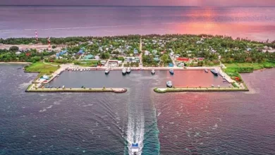 img md 202209180729171663511357.0957