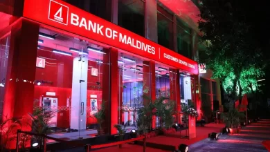 11 57 17 1 23 880x495 1