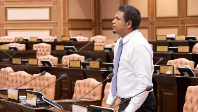 366327 3 92bcd15a6b2fcadddc454b703baf47616de92e4b large