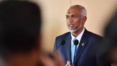 IMG 20231205 182305 338