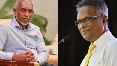 squarepic.blur .effect.photoeditor 2024113221425429