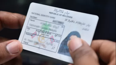 195705 3 ebb9cc6389220f7ecc83f6f2da05934de091a9e5 large