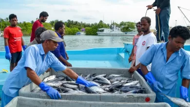 large 149330332010QGTb