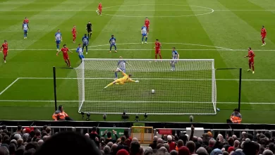 IMG 20240401 181642 148