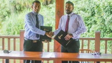 img md 202404031258081712131088.3875