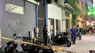 0lbu9IIr3WCwzEkH2LvT7YeeVrIWapP01pBmzn3f