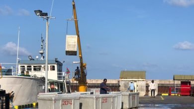 big q9v23fiV1siPoDawbcYidlZOv