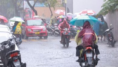 big v8g7n9UAOiMJtpoG1pSISK1lO