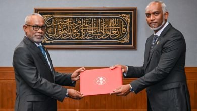 358464 de55bec9 c 1024x683 1