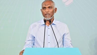 395629 3 7641eede320be3e1a7e1e4e7732ebc5f1e587b58 large