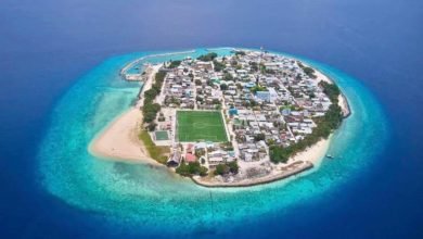 5e9a7969 8ef2 4737 b199 eaa1c019ac9b 850x548 1