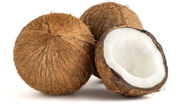 bnLcOclvjXitMseyyWZvZ